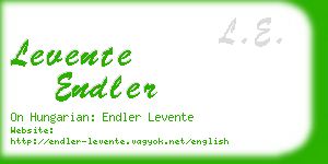 levente endler business card